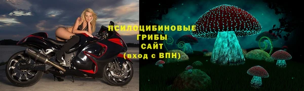 прущие крисы Абаза