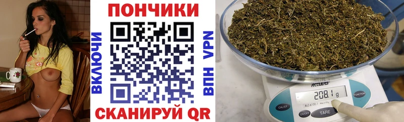 Бошки Шишки THC 21% Новопавловск